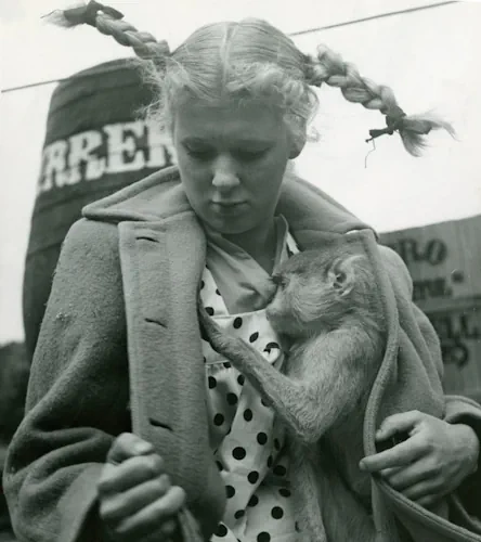 pippi och herr nilsson